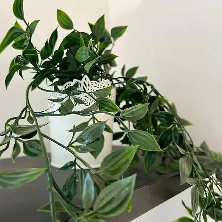 度假居 Maison La Feuilleraie N3-standingmaison-wifi-proche Centre Ville-property Nm *