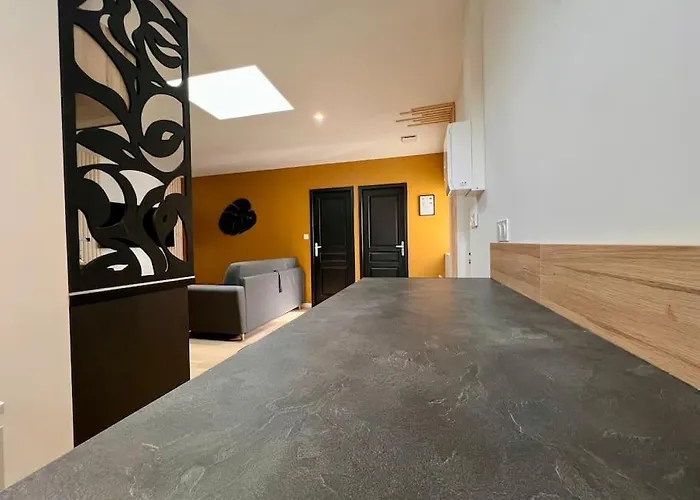 Maison La Feuilleraie N3-standingmaison-wifi-proche Centre Ville-property Nm Hébergement de vacances