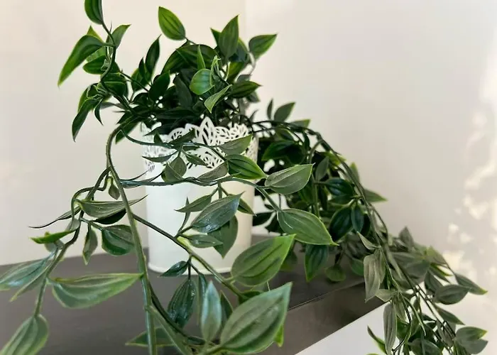 Hébergement de vacances Maison La Feuilleraie N3-standingmaison-wifi-proche Centre Ville-property Nm *