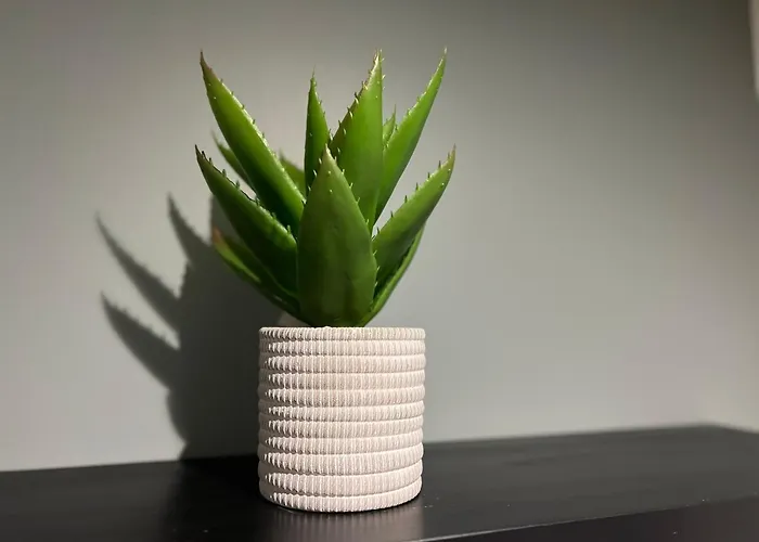 Maison La Feuilleraie N3-standingmaison-wifi-proche Centre Ville-property Nm